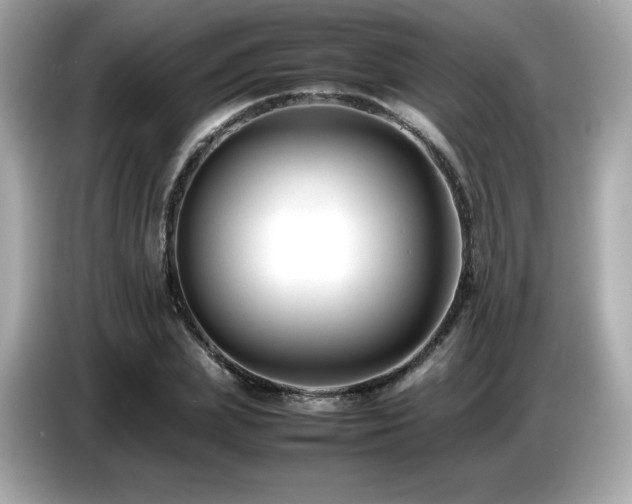 X0000087050831200704181235