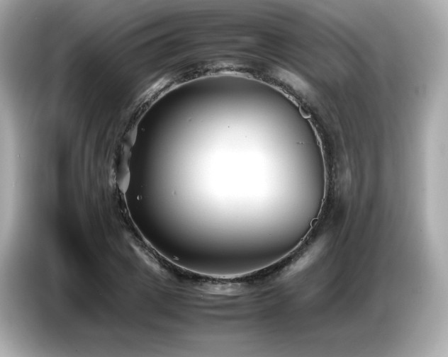X0000087050833200704181235