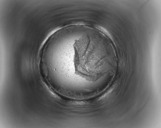 X0000087050835200704181235