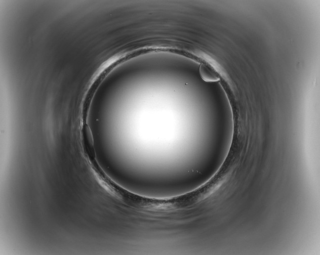 X0000087050837200704181235