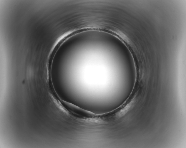 X0000087050838200704181235