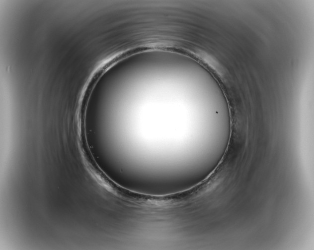 X0000087050840200704181235