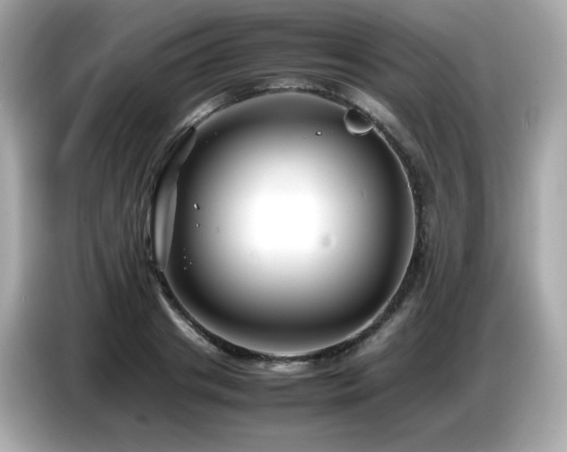 X0000087050841200704181235