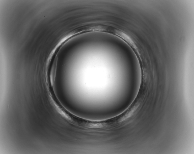 X0000087050843200704181235