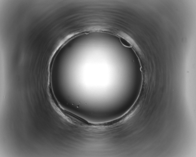 X0000087050844200704181235