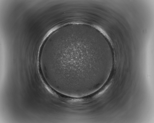 X0000087050845200704181235