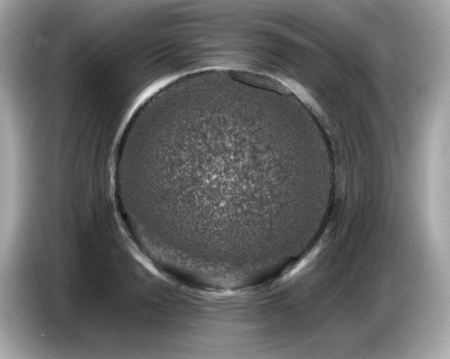 X0000087050846200704181235