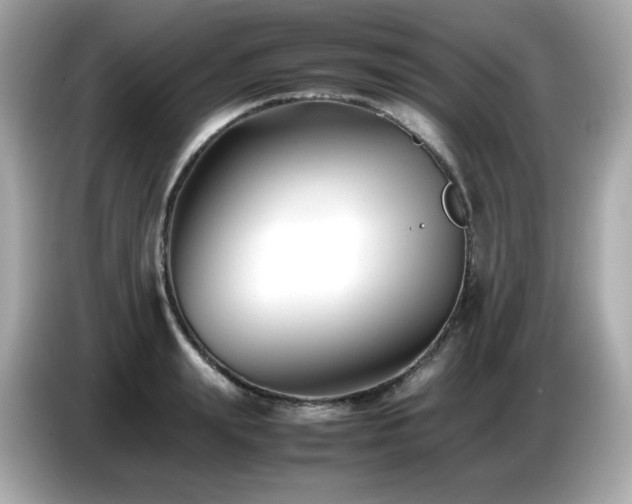 X0000087050847200704181235