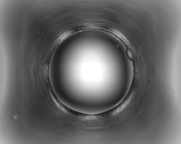 X0000087050849200704181235