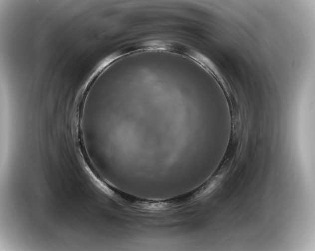 X0000087050851200704181235