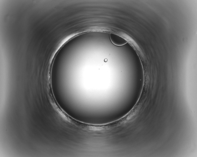 X0000087050852200704181235