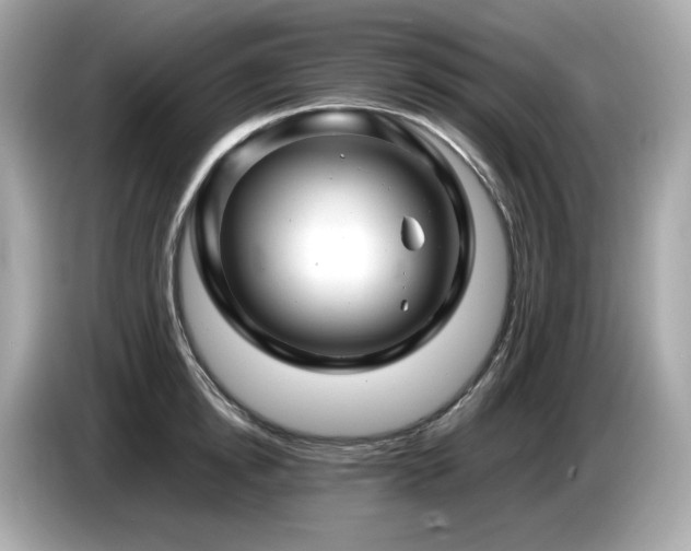 X0000087050854200704181235