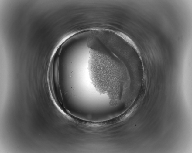 X0000087050855200704181235