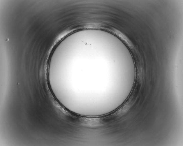 X0000087050856200704181235
