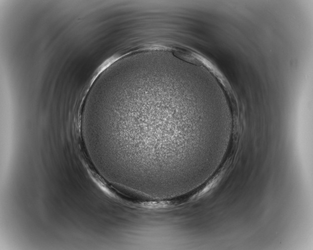 X0000087050858200704181235