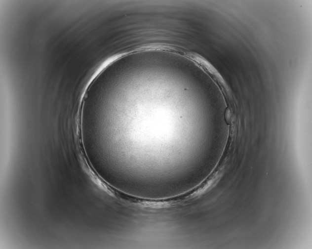 X0000087050860200704181235
