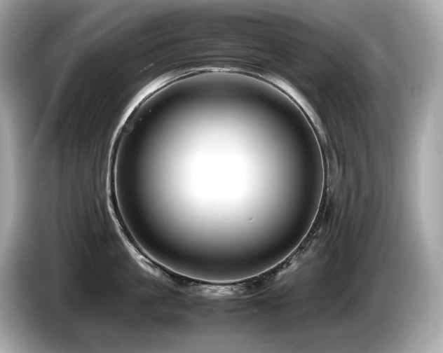X0000087050861200704181235