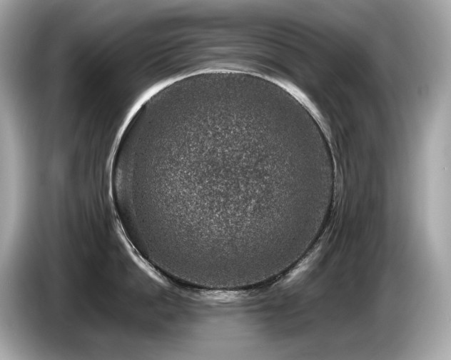 X0000087050862200704181235