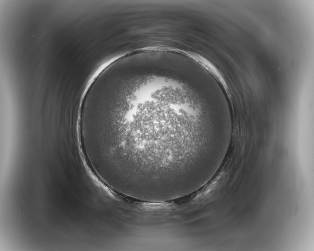 X0000087050863200704181235