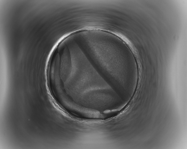 X0000087050864200704181235