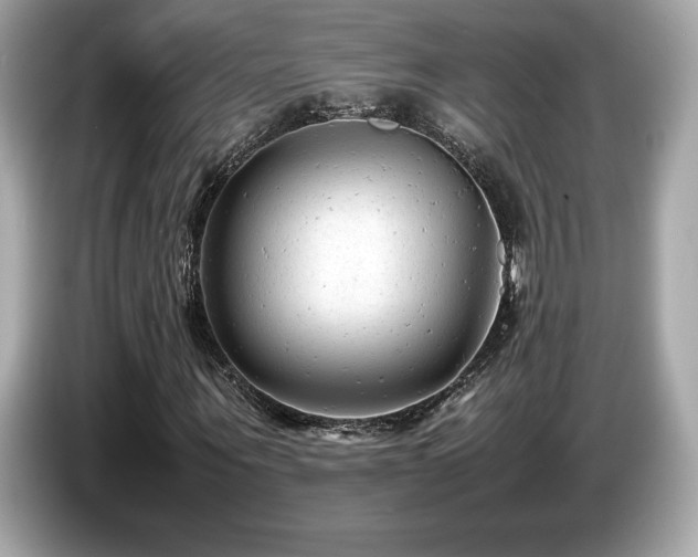X0000087050867200704181235