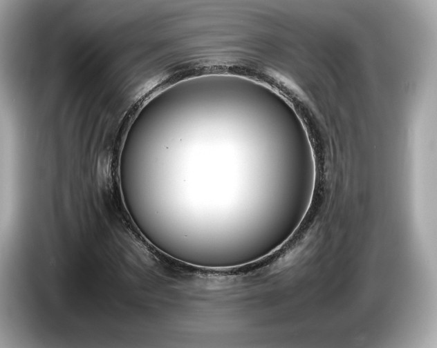 X0000087050873200704181234