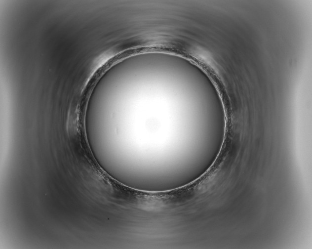 X0000087050875200704181234