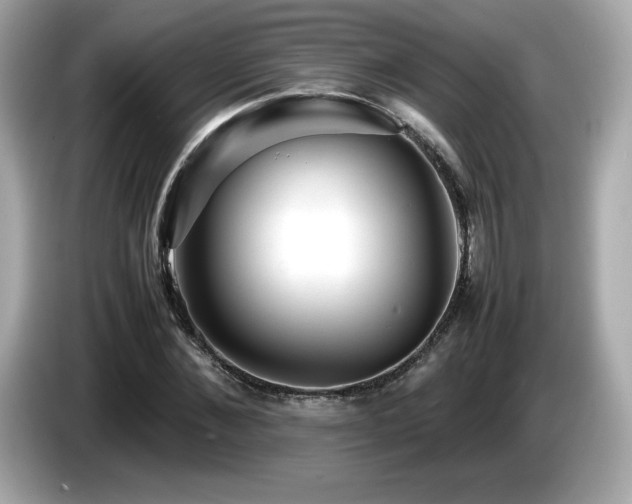 X0000087050876200704181234