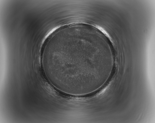 X0000087050877200704181234