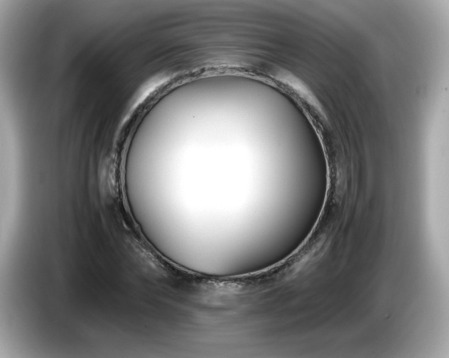 X0000087050878200704181234