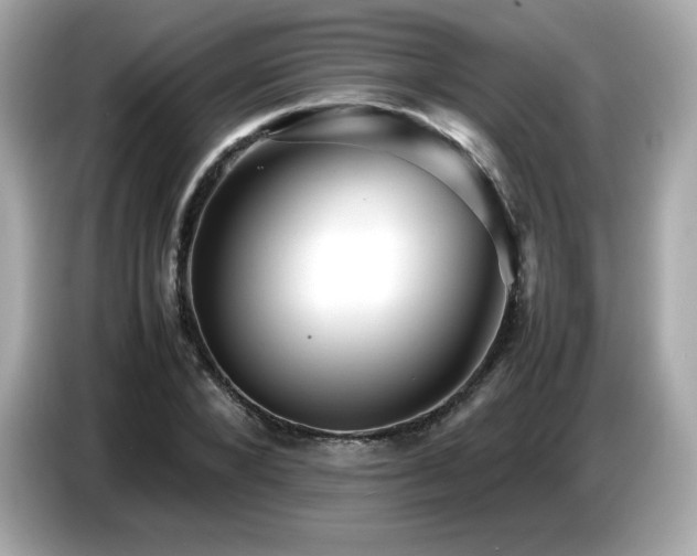 X0000087050880200704181234