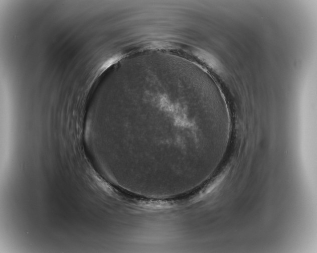 X0000087050881200704181234