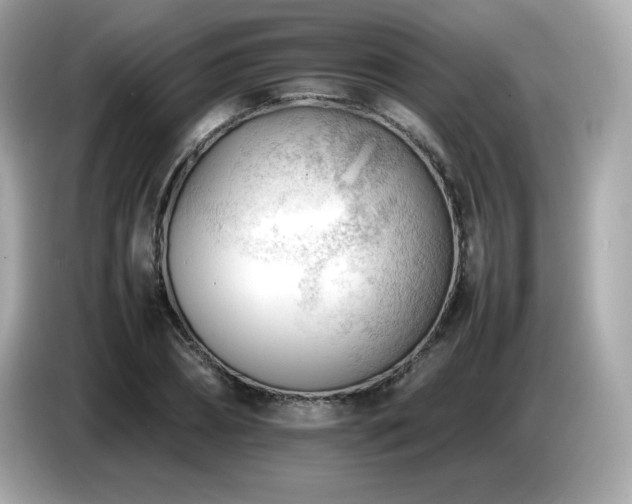 X0000087050882200704181234
