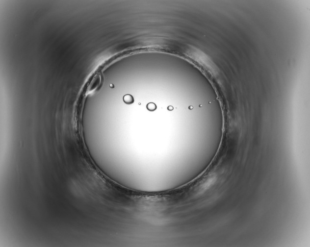 X0000087050883200704181234