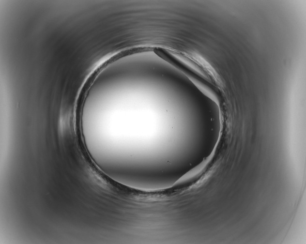 X0000087050884200704181234