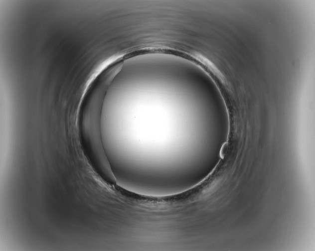 X0000087050885200704181234