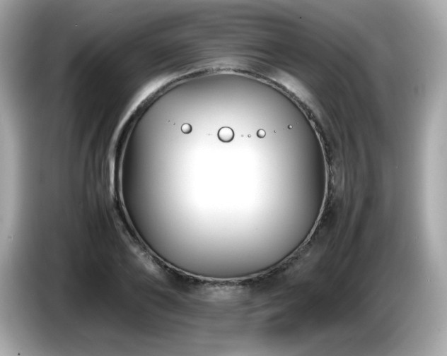 X0000087050886200704181234