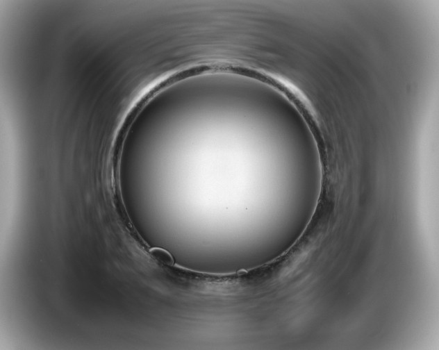 X0000087050887200704181234