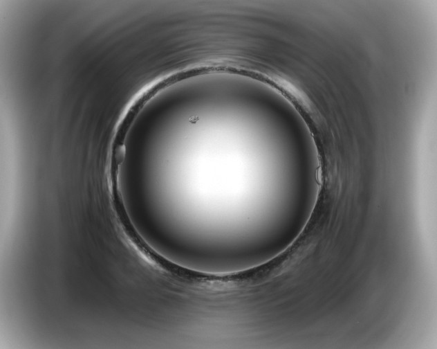 X0000087050888200704181234