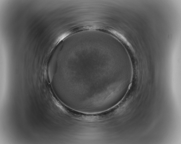 X0000087050889200704181234