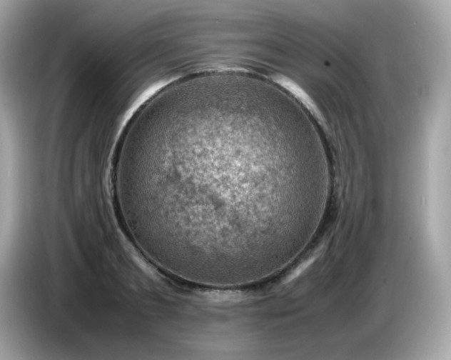 X0000087050893200704181234