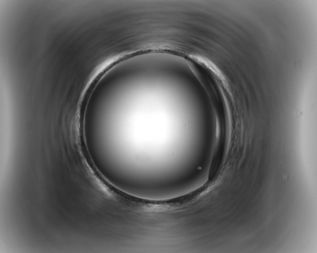 X0000087050894200704181234