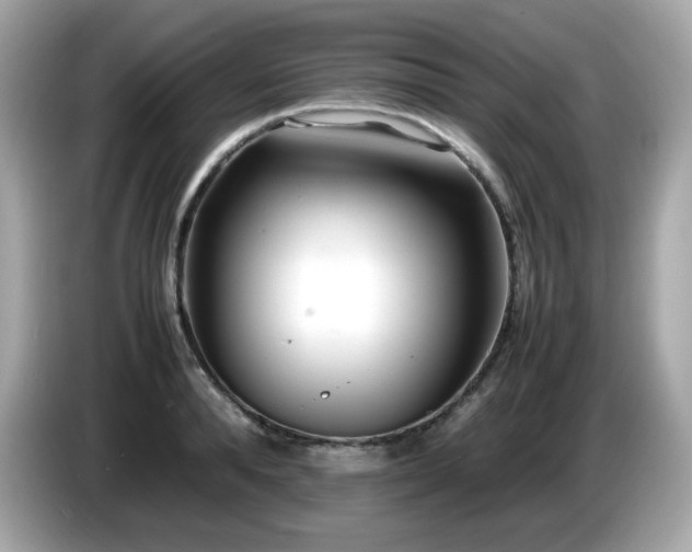 X0000087050896200704181234