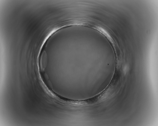 X0000087050899200704181234