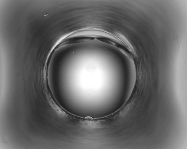 X0000087050900200704181234