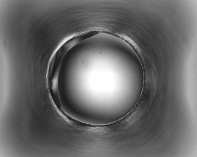 X0000087050902200704181234