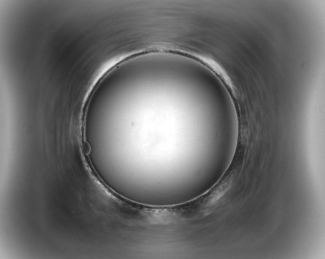 X0000087050903200704181234