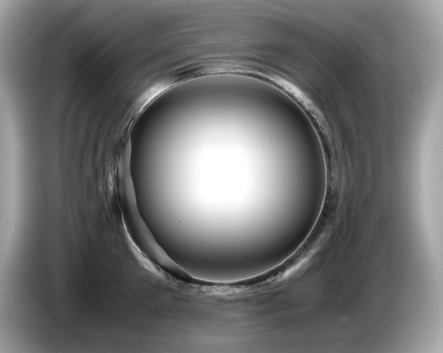 X0000087050905200704181234