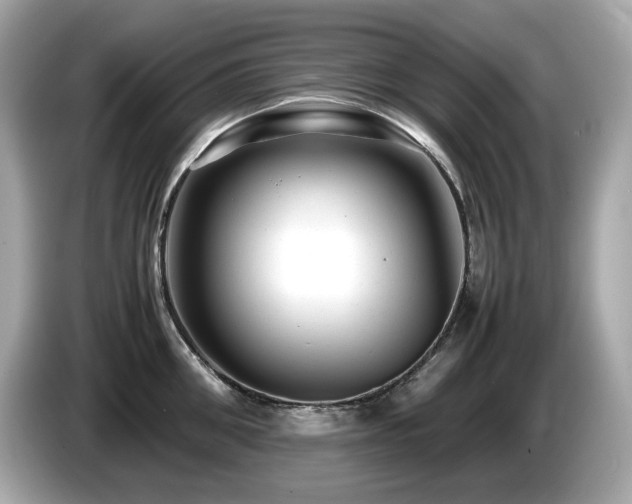X0000087050906200704181234