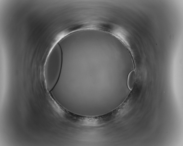 X0000087050907200704181234